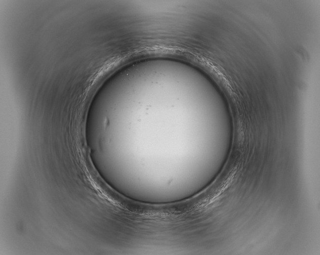 X0000111890625200907231557