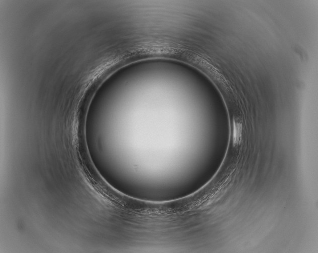 X0000111890627200907231557