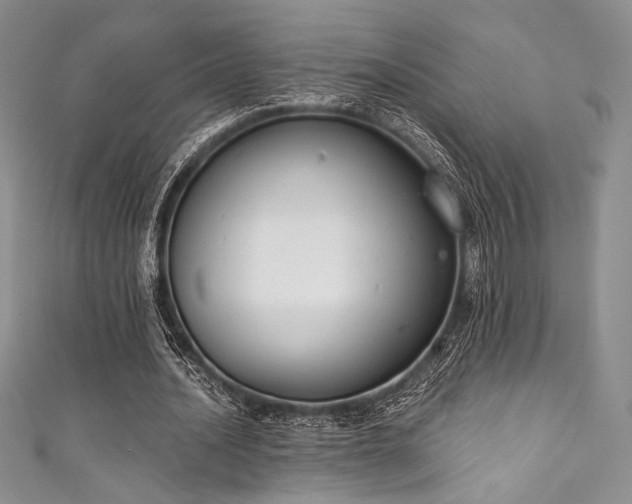 X0000111890628200907231557