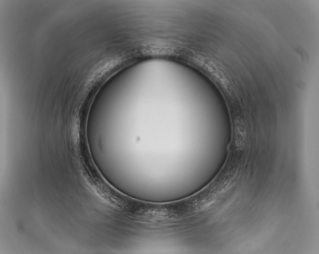 X0000111890631200907231557