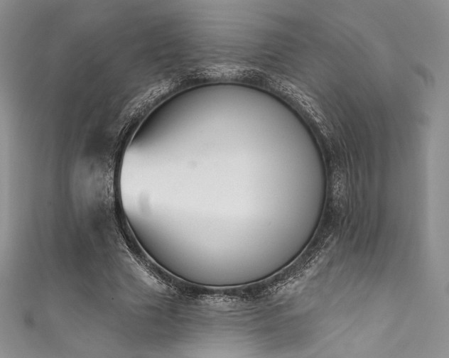X0000111890633200907231557