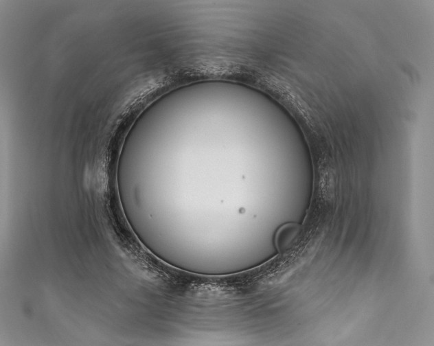 X0000111890635200907231557