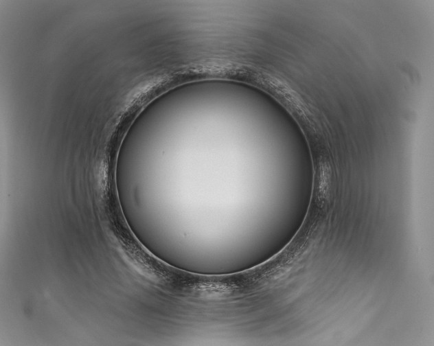 X0000111890636200907231557