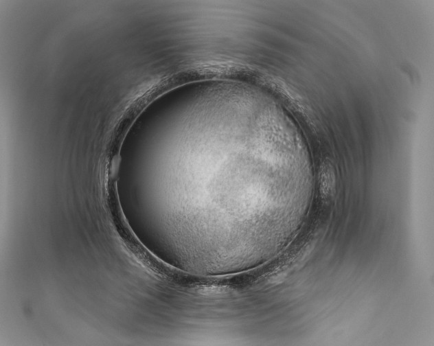 X0000111890637200907231557