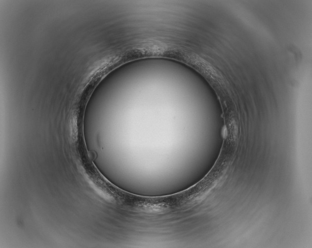 X0000111890638200907231557