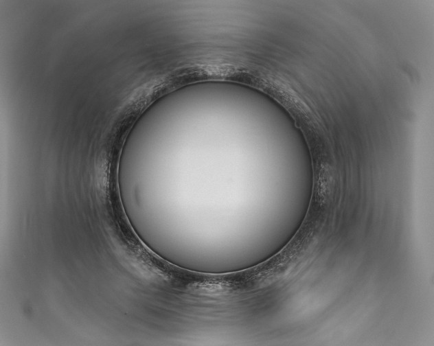X0000111890639200907231557
