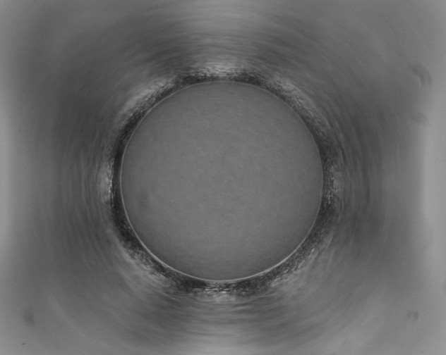 X0000111890640200907231557