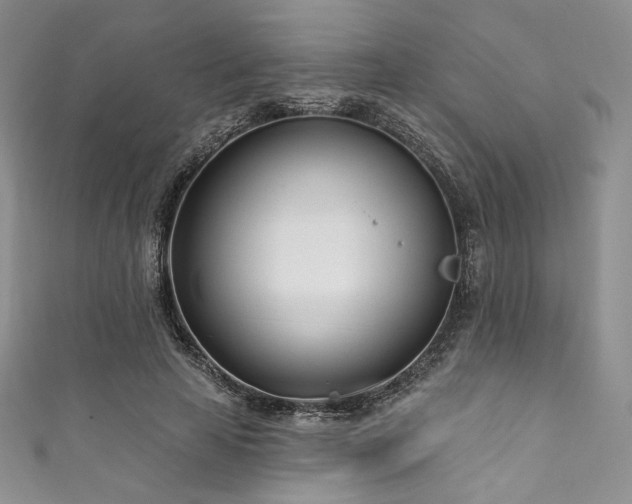 X0000111890641200907231557