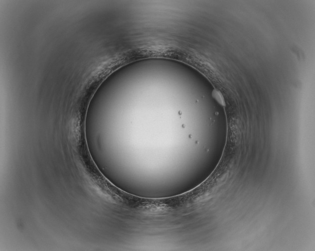 X0000111890642200907231557