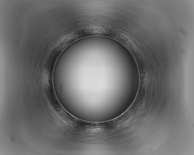 X0000111890643200907231557