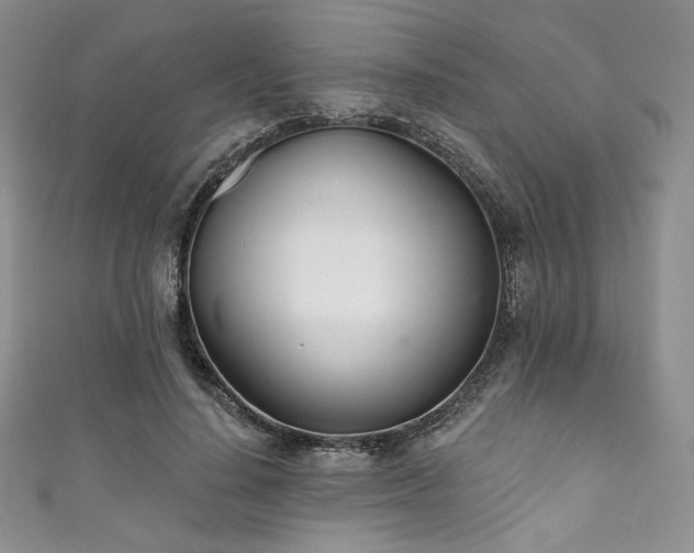 X0000111890644200907231557