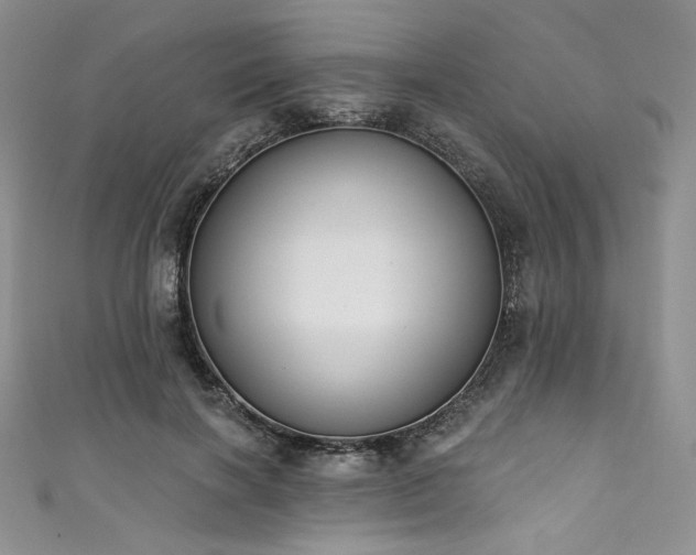 X0000111890646200907231557