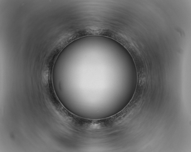 X0000111890647200907231557