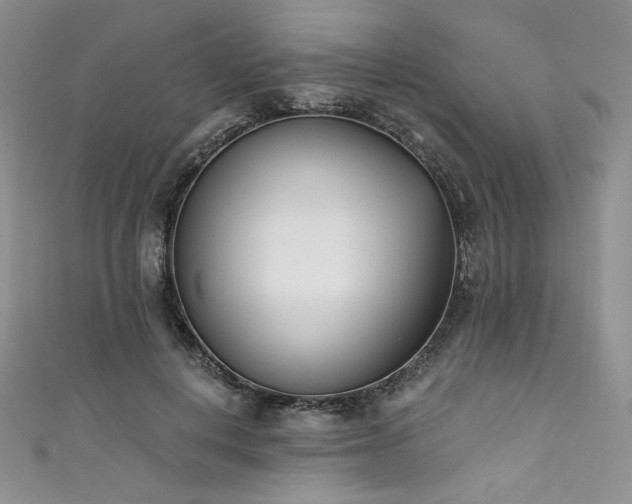 X0000111890648200907231557