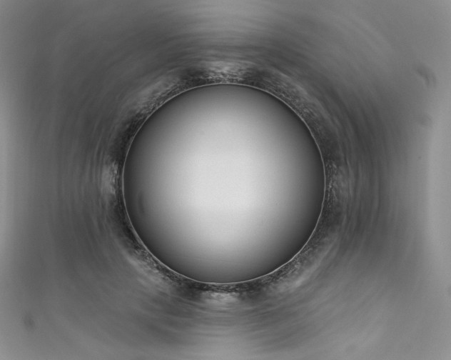 X0000111890649200907231557