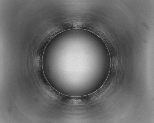 X0000111890650200907231557