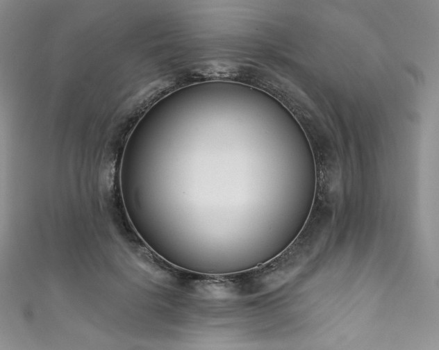 X0000111890652200907231557
