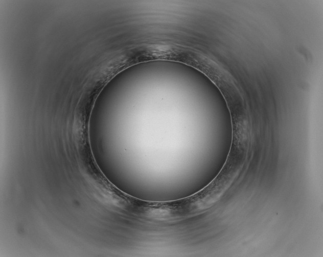 X0000111890653200907231557