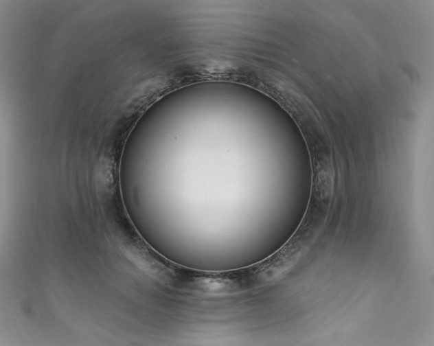 X0000111890654200907231557