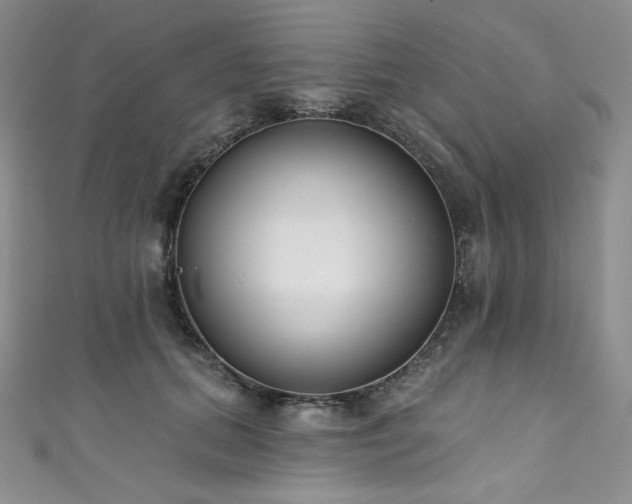 X0000111890655200907231557