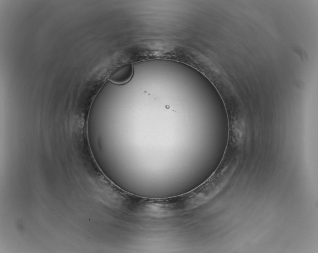 X0000111890657200907231557