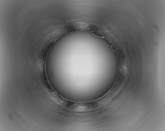 X0000111890658200907231557