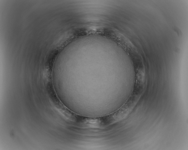 X0000111890659200907231557
