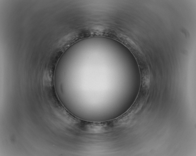 X0000111890661200907231557