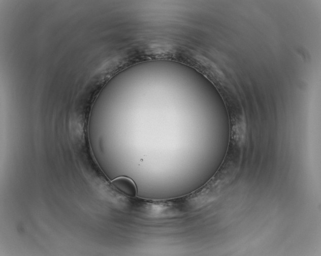 X0000111890662200907231557
