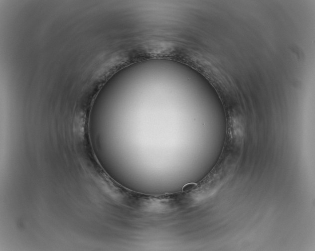 X0000111890664200907231557