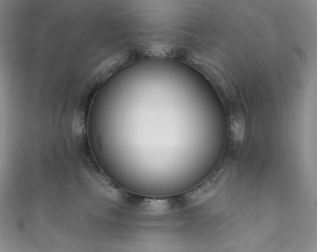 X0000111890665200907231557