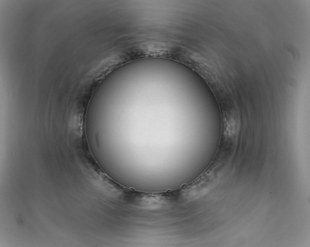 X0000111890666200907231557