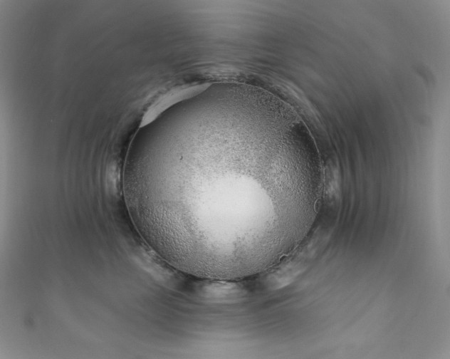 X0000111890669200907231557
