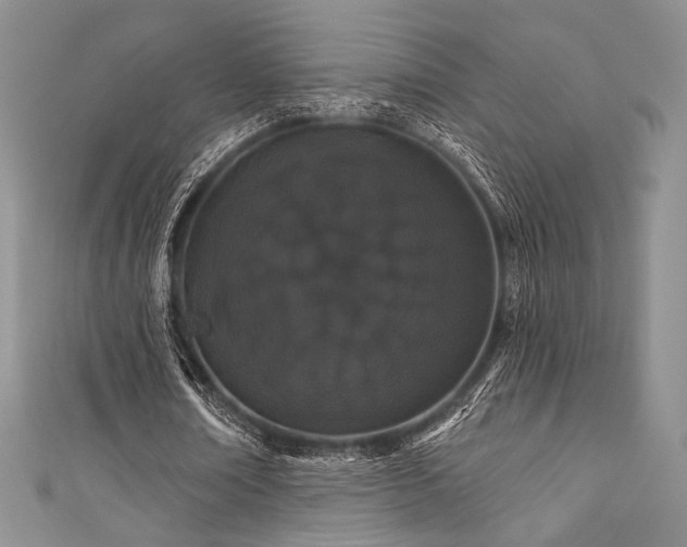 X0000111890674200907231557