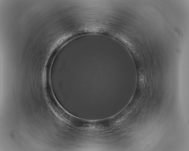 X0000111890678200907231557