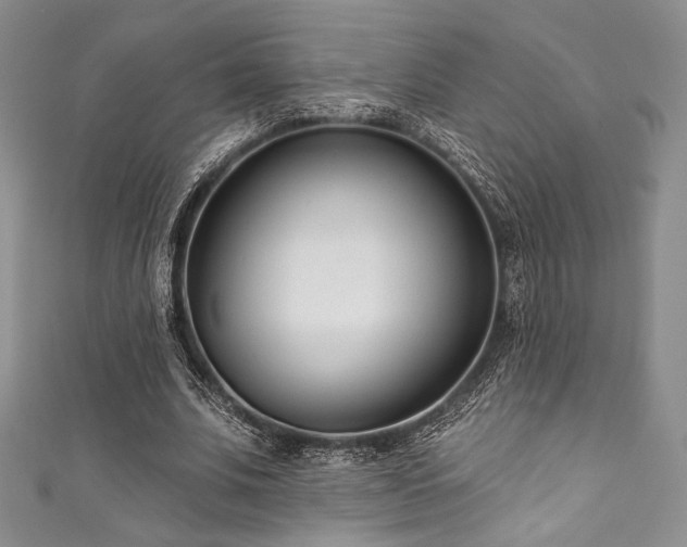 X0000111890679200907231557