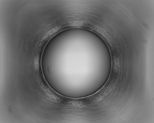 X0000111890681200907231557