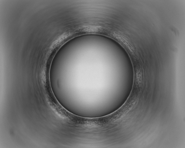 X0000111890682200907231557
