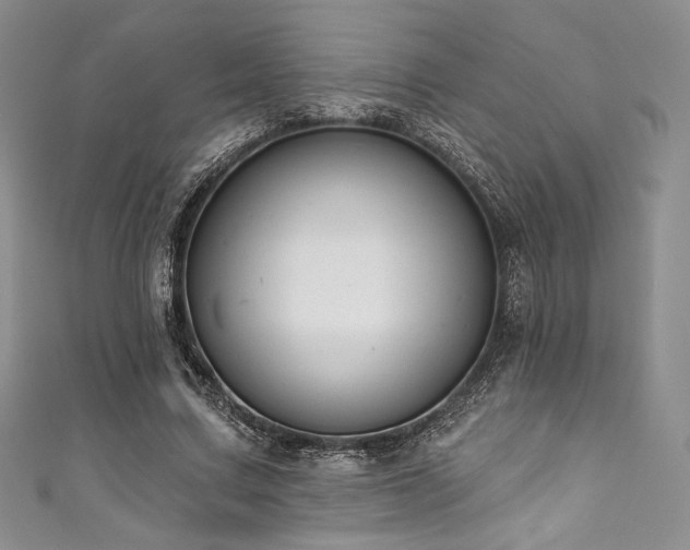 X0000111890683200907231557