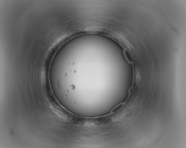 X0000111890684200907231557