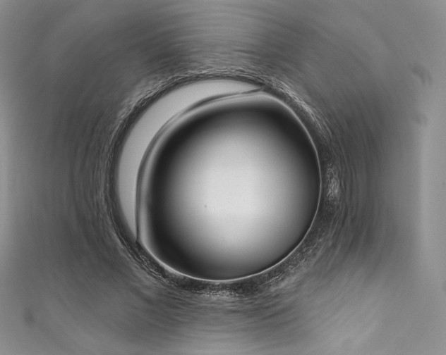 X0000111890685200907231557