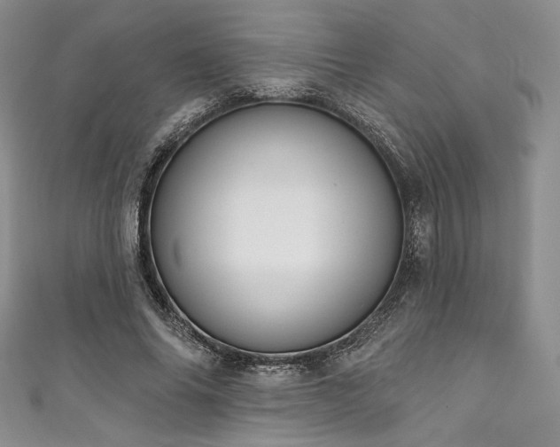 X0000111890686200907231557