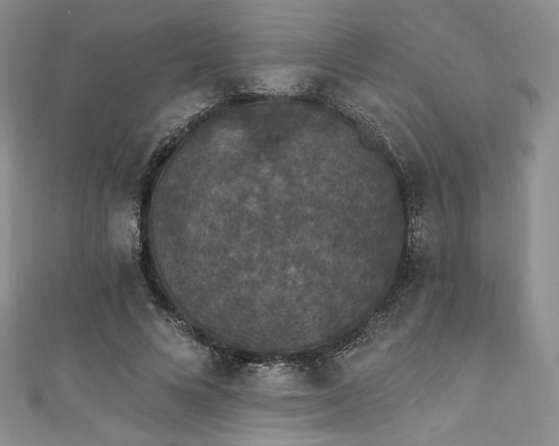 X0000111890688200907231557