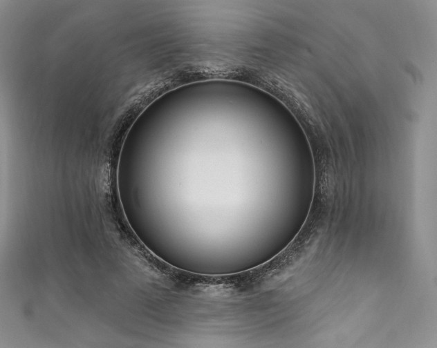 X0000111890689200907231557