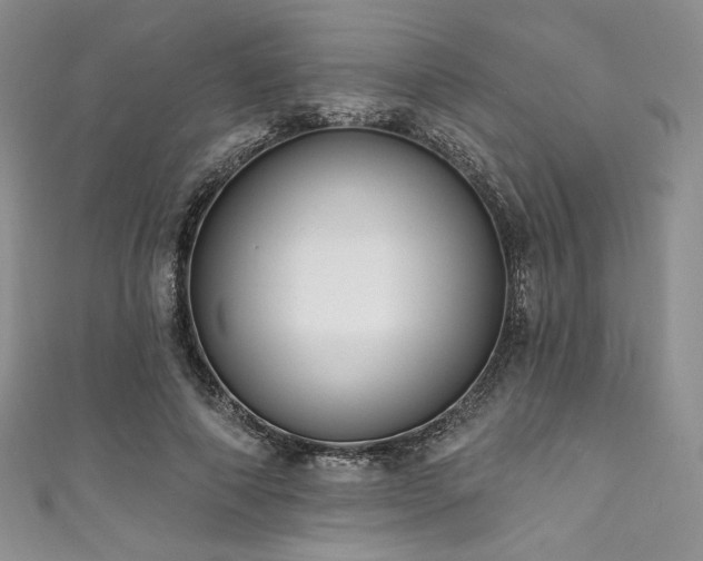 X0000111890690200907231556