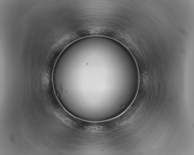 X0000111890691200907231556