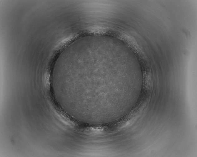 X0000111890692200907231556