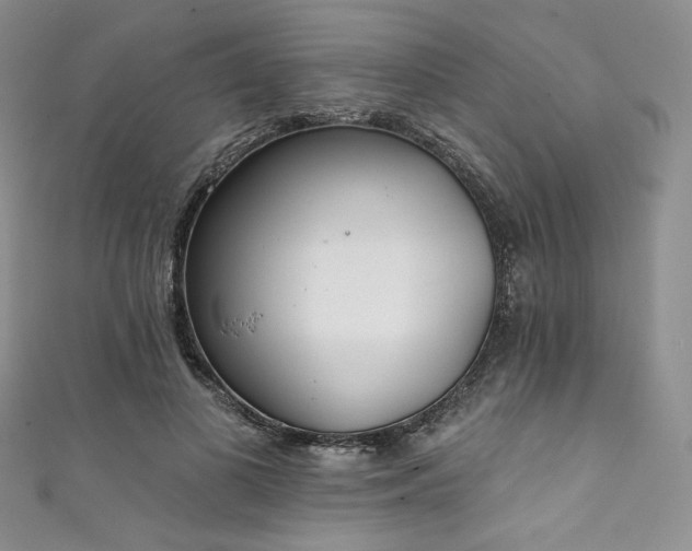 X0000111890693200907231556