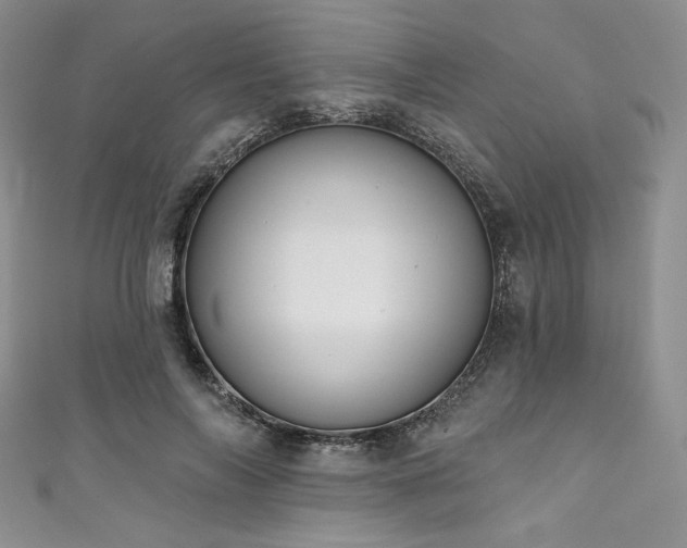 X0000111890694200907231556