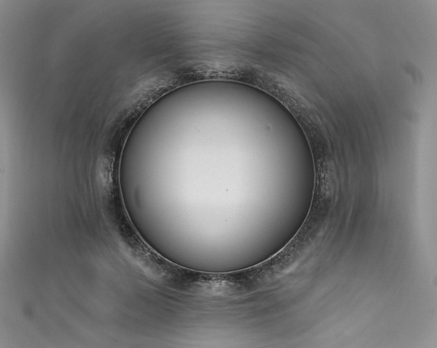 X0000111890695200907231556